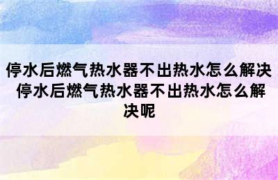 停水后燃气热水器不出热水怎么解决 停水后燃气热水器不出热水怎么解决呢